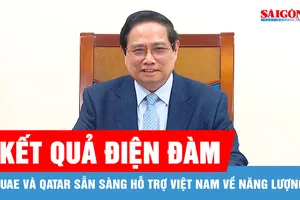 UAE, Qatar sẵn sàng hỗ trợ bảo đảm ổn định năng lượng tại Việt Nam