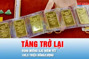 Podcast tin trưa 10-3: Giá vàng miếng SJC và vàng nhẫn vượt 185 triệu đồng/lượng