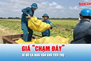 Podcast bản tin tối 18-3: Giá bí đỏ Cà Mau "chạm đáy", thương lái vẫn không đến mua