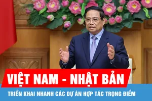 Việt Nam - Nhật Bản triển khai nhanh các dự án hợp tác trọng điểm