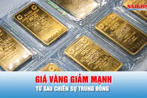 Podcast bản tin trưa 22-3: Giá vàng sáng nay giảm mạnh nhất từ sau chiến sự Trung Đông