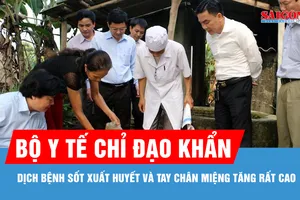 Gần 32.000 ca sốt xuất huyết, Bộ Y tế chỉ đạo khẩn