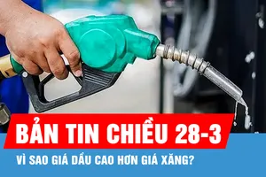 Bản tin chiều 28-3: Vì sao giá dầu cao hơn giá xăng?