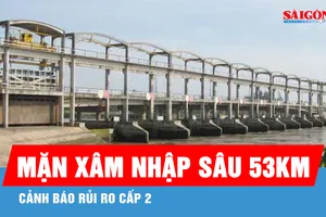 Vĩnh Long: Mặn xâm nhập sâu 53km, cảnh báo rủi ro cấp 2