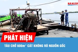 Phát hiện tàu chở 600m³ cát không rõ nguồn gốc
