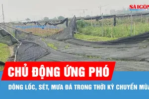 Đề nghị các địa phương chủ động ứng phó mưa đá, dông lốc, sét