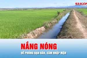 Podcast bản tin chiều 31-3: ĐBSCL bước vào mùa nắng nóng, đề phòng tác động cực đoan