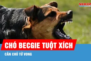 Chó becgie tuột xích, cắn chủ tử vong