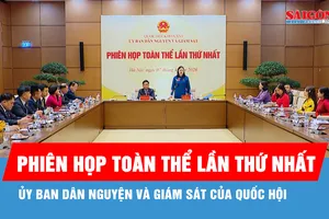 Phiên họp toàn thể lần thứ nhất Ủy ban Dân nguyện và Giám sát của Quốc hội