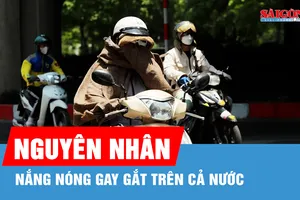 Vì sao nắng nóng gay gắt những ngày qua?