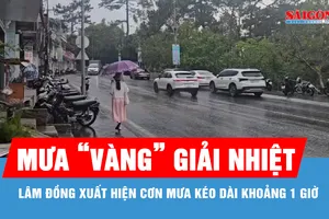 Lâm Đồng: Xuất hiện cơn mưa "vàng" giải nhiệt