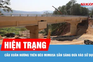 Cận cảnh cầu Xuân Hương trên đèo Mimosa trước khi đưa vào sử dụng