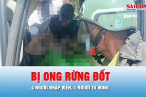 Podcast bản tin tối 15-4: Năm nhân viên bảo vệ rừng ở Gia Lai bị ong đốt, 1 người tử vong