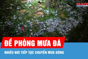 Nhiều nơi tiếp tục chuyển mưa dông, cần đề phòng mưa đá