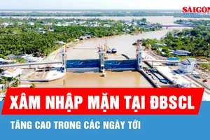 Xâm nhập mặn lấn sâu vào ĐBSCL, có nơi đến 62km