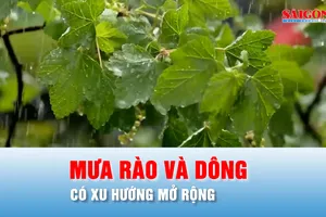 Podcast bản tin tối 23-4: Bắc bộ tiếp tục có mưa rào và dông rải rác