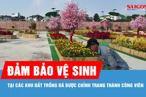 TPHCM: Đảm bảo vệ sinh tại các khu đất trống đã được chỉnh trang thành công viên