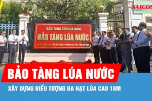 Cà Mau thành lập Bảo tàng Lúa nước, xây dựng biểu tượng ba hạt lúa cao 18m