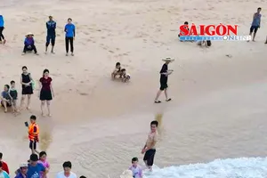 Chiều 4-5, người dân làng biển Vĩnh Hội, xã Cát Tiến, tỉnh Gia Lai, nỗ lực khiêng con cá "khủng" giống cá voi có mỏ lên bờ…