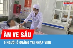 Ăn ve sầu, 9 người ở Quảng Trị nhập viện