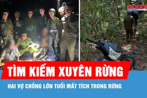 TPHCM: Tìm thấy vợ chồng lớn tuổi mất tích trong rừng, người vợ không qua khỏi