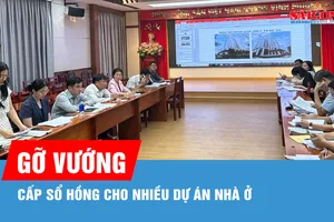 TPHCM gỡ vướng cấp sổ hồng cho nhiều dự án nhà ở
