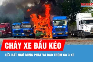 TPHCM: Cháy 3 xe đầu kéo container đang đậu trong bãi