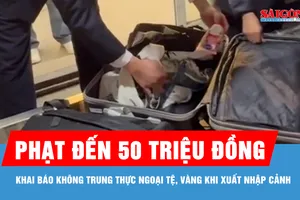 Khai báo không trung thực ngoại tệ, vàng khi xuất nhập cảnh bị phạt đến 50 triệu đồng