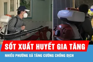 Sốt xuất huyết gia tăng, nhiều phường xã tăng cường chống dịch