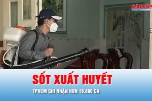Podcast bản tin trưa 21-5: Đầu năm đến nay, TPHCM ghi nhận hơn 16.800 ca sốt xuất huyết