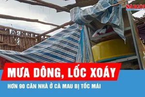 Hơn 90 căn nhà ở Cà Mau bị ảnh hưởng do lốc xoáy