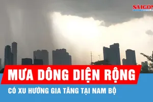 Hôm nay, TPHCM và Nam bộ có mưa dông diện rộng