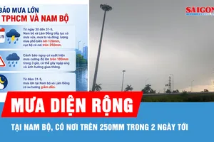 Nam bộ có mưa vừa và dông, có nơi trên 250mm trong 2 ngày tới