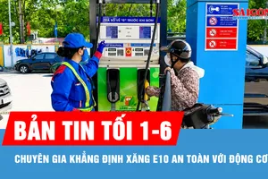 Bản tin tối 1-6: Chuyên gia khẳng định xăng E10 an toàn với động cơ