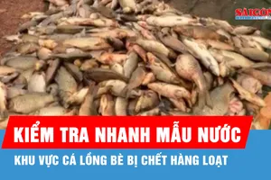 TP Đồng Nai: Kiểm tra nhanh mẫu nước tại khu vực cá chết hàng loạt