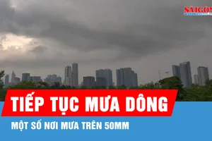 Chiều tối và đêm nay 4-6, Nam bộ có mưa rào và dông