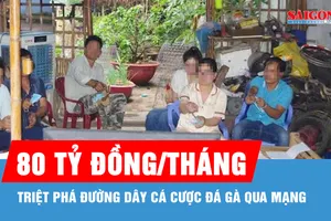 Triệt phá đường dây cá cược đá gà qua mạng, một tháng giao dịch 80 tỷ đồng