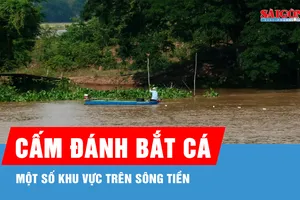 Đồng Tháp: Cấm người dân đánh bắt cá một số khu vực trên sông Tiền