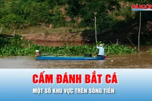 Podcast bản tin chiều 4-6: Vì sao Đồng Tháp cấm đánh bắt tôm cá trên sông Tiền?