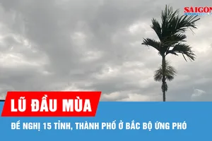 Đề nghị 15 tỉnh, thành phố ở Bắc bộ ứng phó đợt lũ đầu mùa