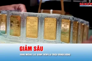 Podcast bản tin tối 8-6: Chiều 8-6, giá vàng trong nước giảm sâu