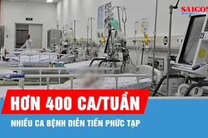 TPHCM ghi nhận hơn 400 ca mắc sốt xuất huyết trong một tuần