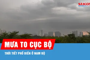 Nam bộ ngày nắng, chiều và tối có nơi mưa to