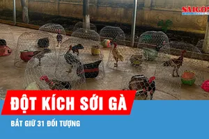 Gia Lai: Đột kích sới gà, bắt giữ 31 đối tượng