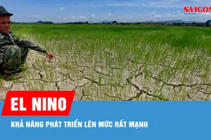 El Nino đã chính thức hình thành, khả năng phát triển lên mức rất mạnh