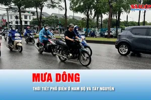 Podcast tin trưa 14-6: Nam bộ tiếp tục mưa dông