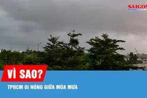 Vì sao TPHCM oi nóng giữa mùa mưa?