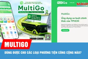 MultiGo dùng được cho các loại phương tiện công cộng nào?