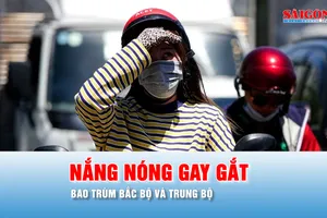 Podcast bản tin trưa 20-6: Nắng nóng gay gắt bao trùm Bắc bộ và Trung bộ