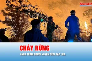 Podcast bản tin trưa 22-6: Hàng trăm người xuyên đêm khống chế cháy rừng ở Nghệ An